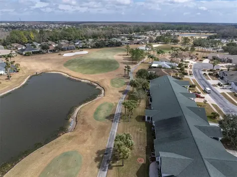 11429 Hidden Cove Court Trinity FL 34655
