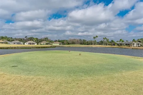 11429 Hidden Cove Court Trinity FL 34655