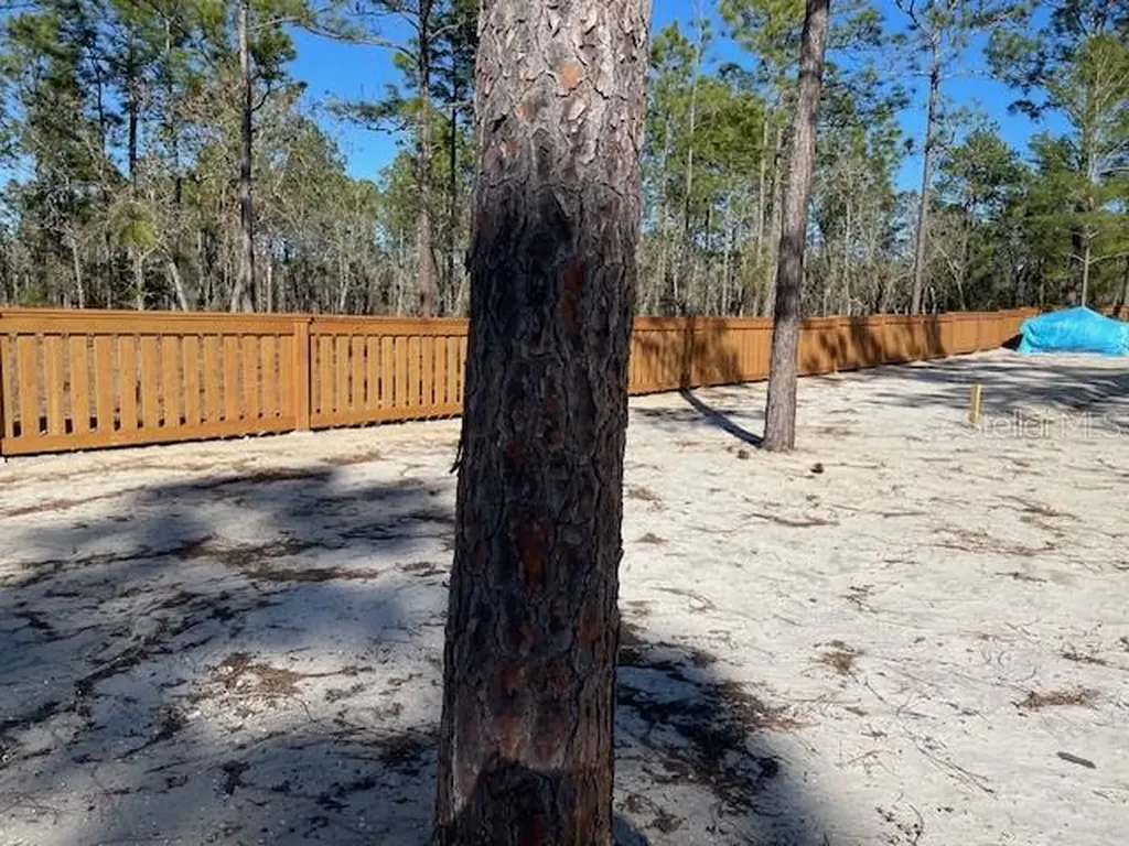 2003 SW Deerpark Heights Road Dunnellon FL 34431