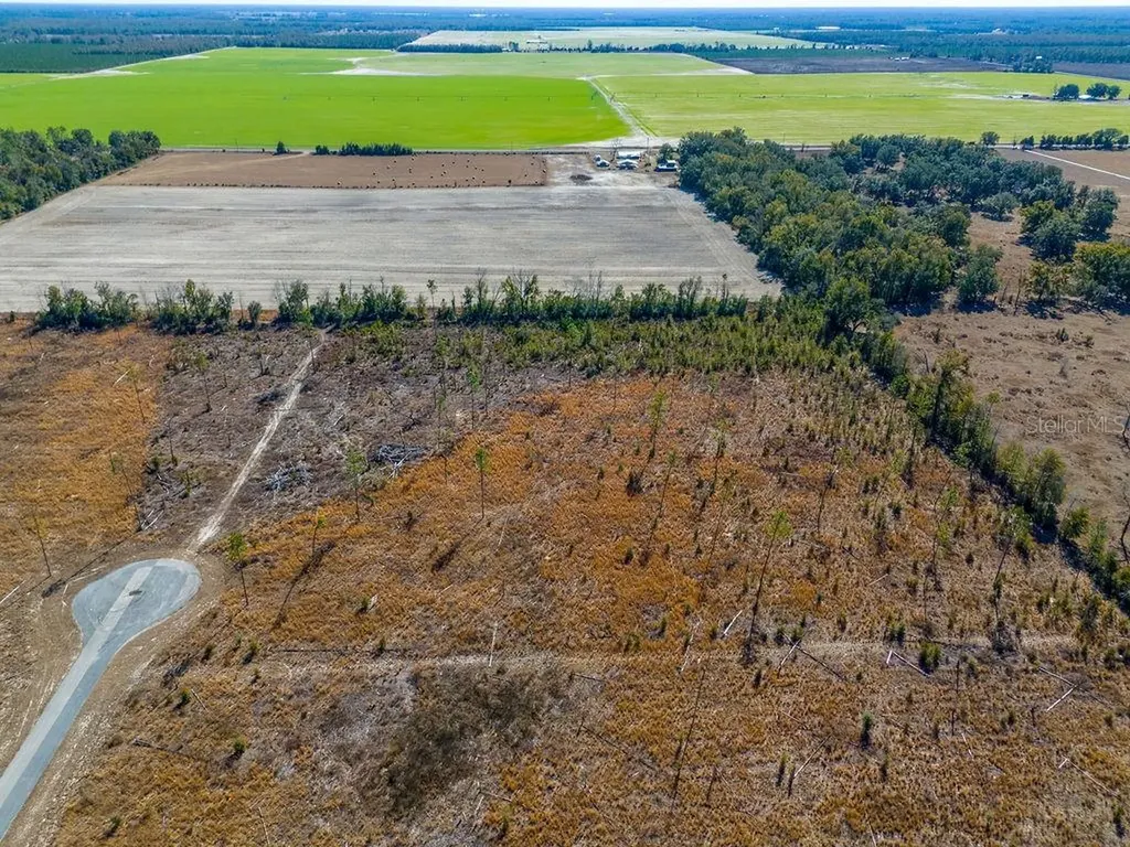 Tbd 211th Court Live Oak FL 32060