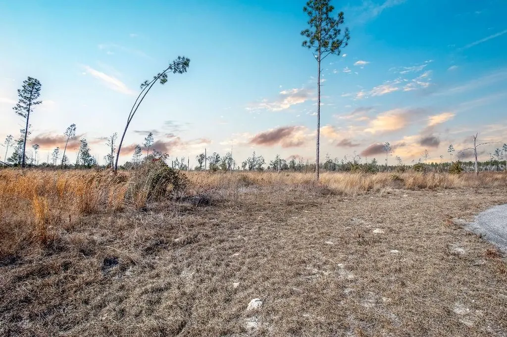 Tbd 211th Court Live Oak FL 32060