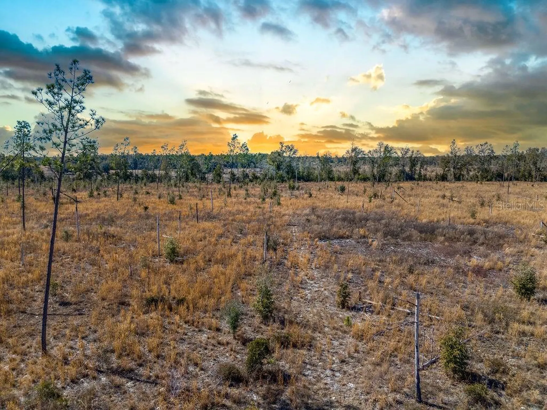 Tbd 211th Court Live Oak FL 32060