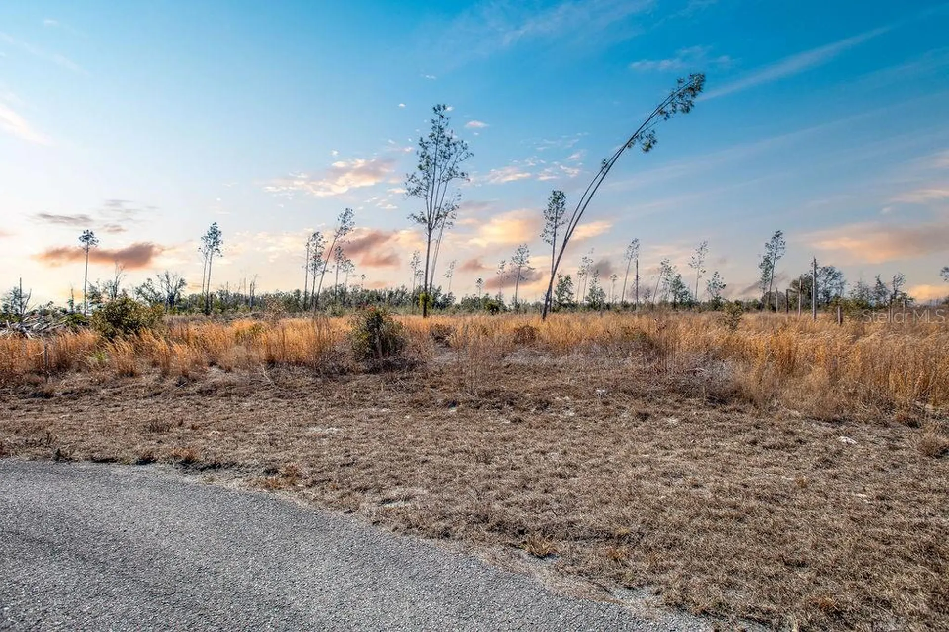 Tbd 211th Court Live Oak FL 32060