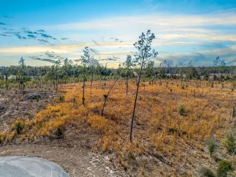 Tbd 211th Court Live Oak FL 32060
