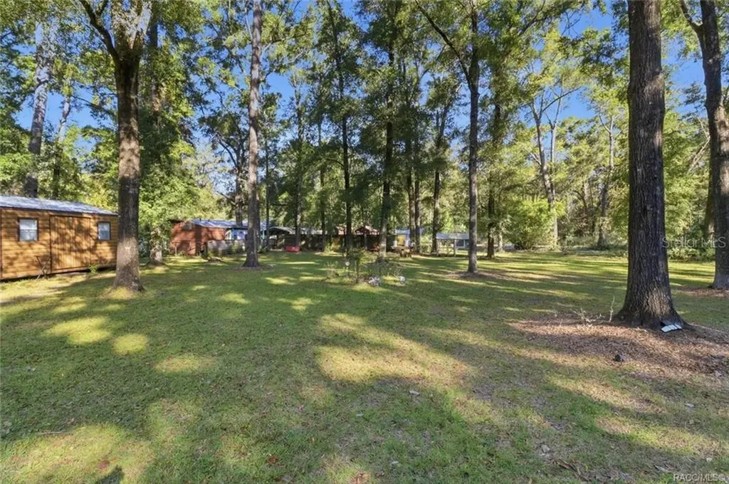 8110 SW 88th Lane Trenton FL 32693