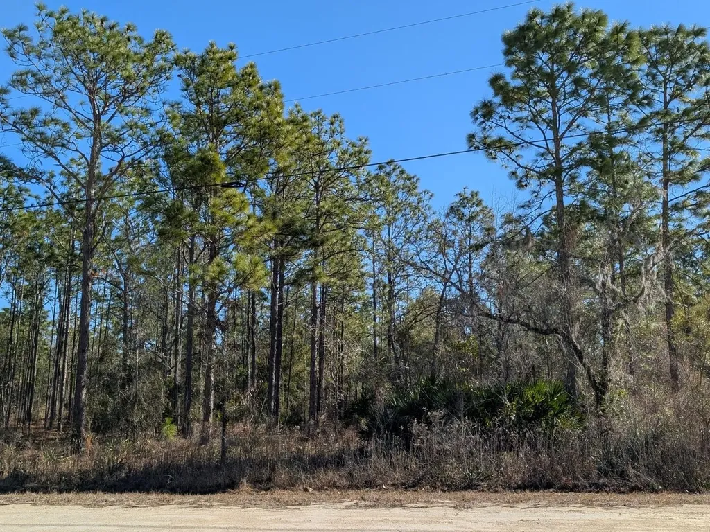15252 Coot Road Brooksville FL 34614