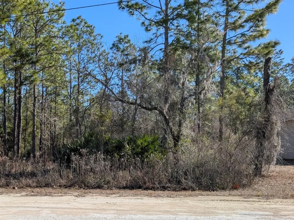 15252 Coot Road Brooksville FL 34614
