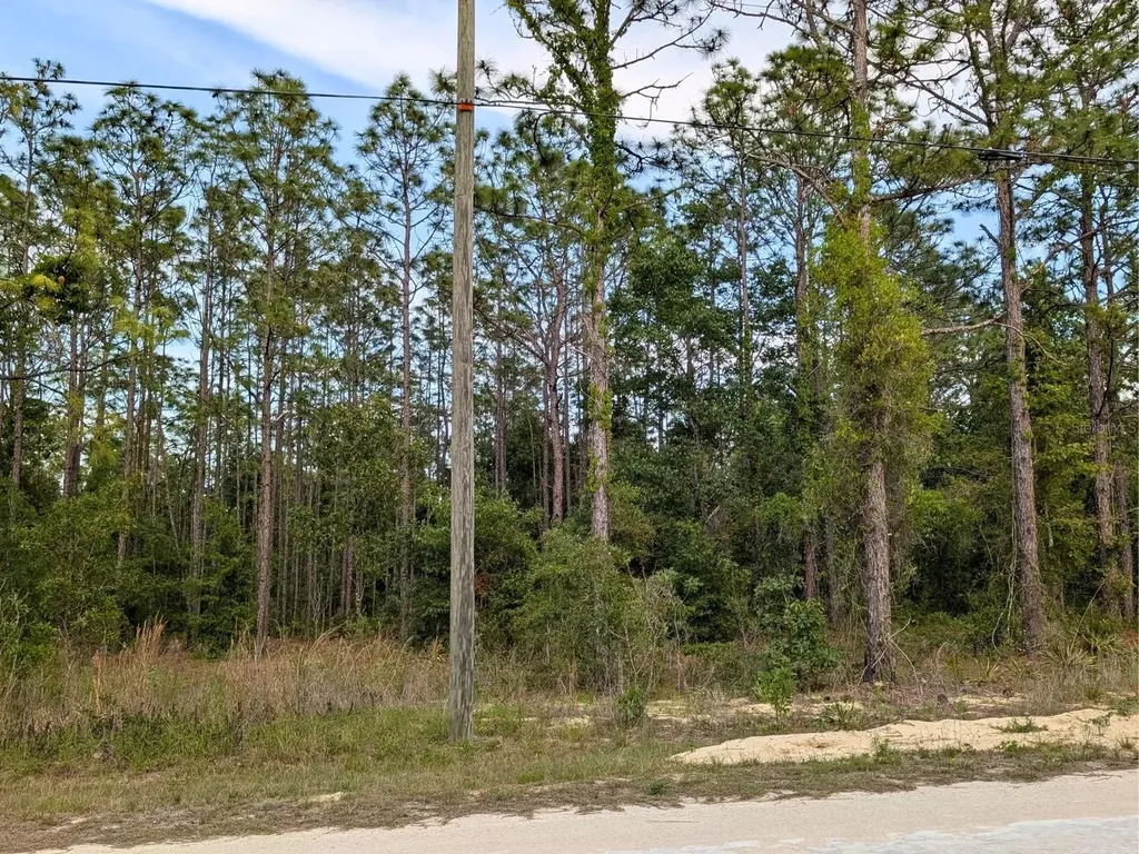 15252 Coot Road Brooksville FL 34614