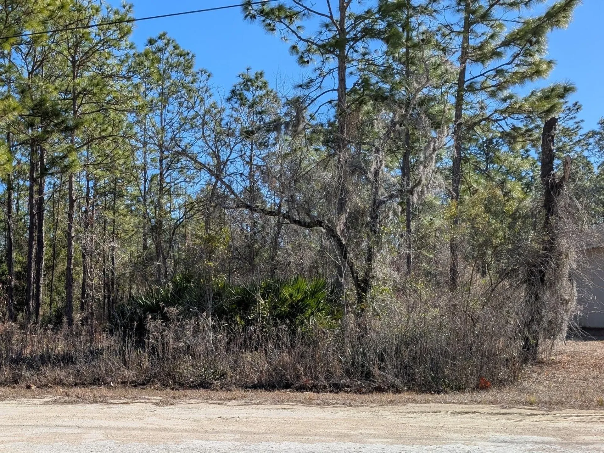 15252 Coot Road Brooksville FL 34614