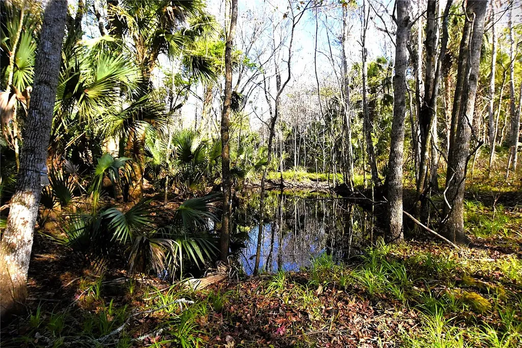 4721 Lingo Grove Road Edgewater FL 32141