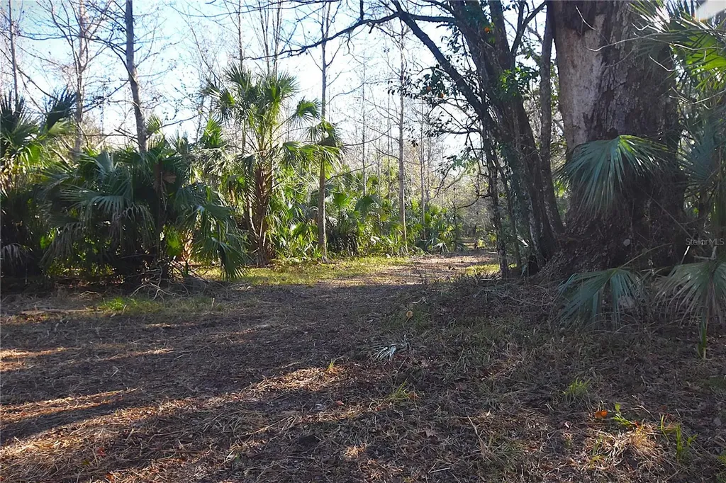 4721 Lingo Grove Road Edgewater FL 32141