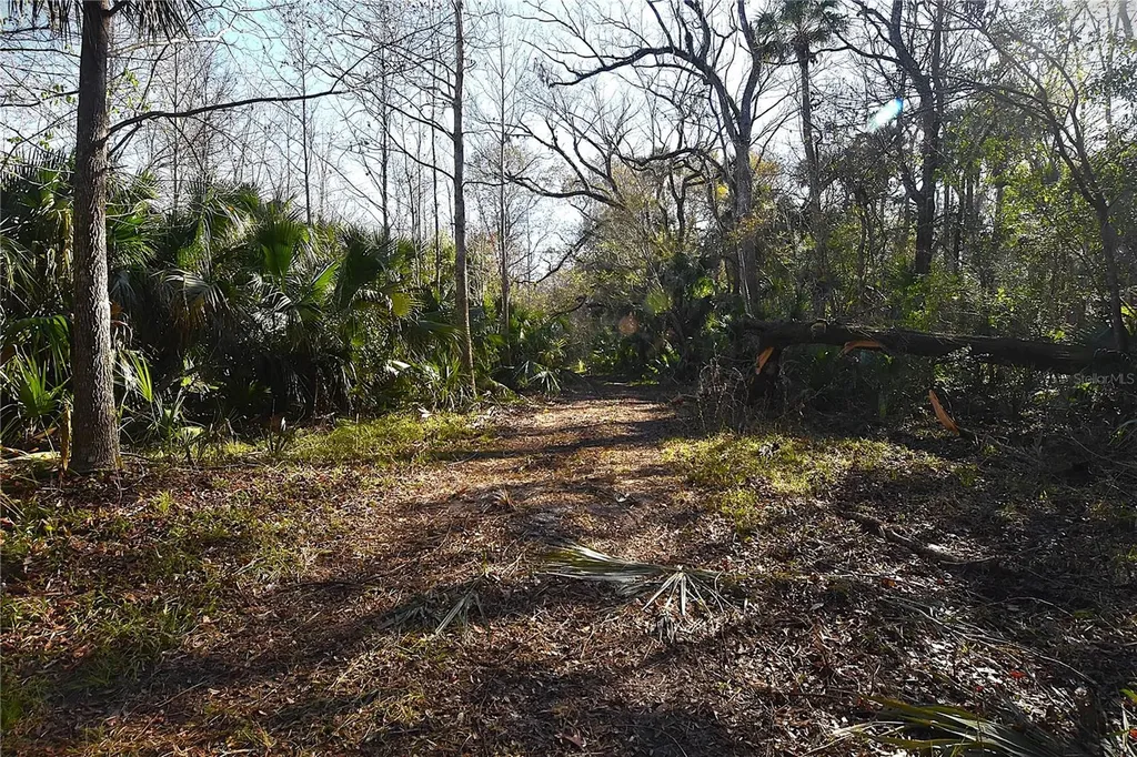 4721 Lingo Grove Road Edgewater FL 32141