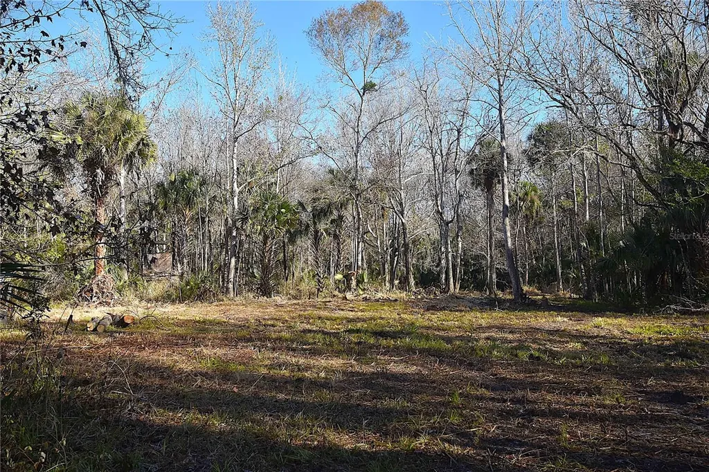 4721 Lingo Grove Road Edgewater FL 32141