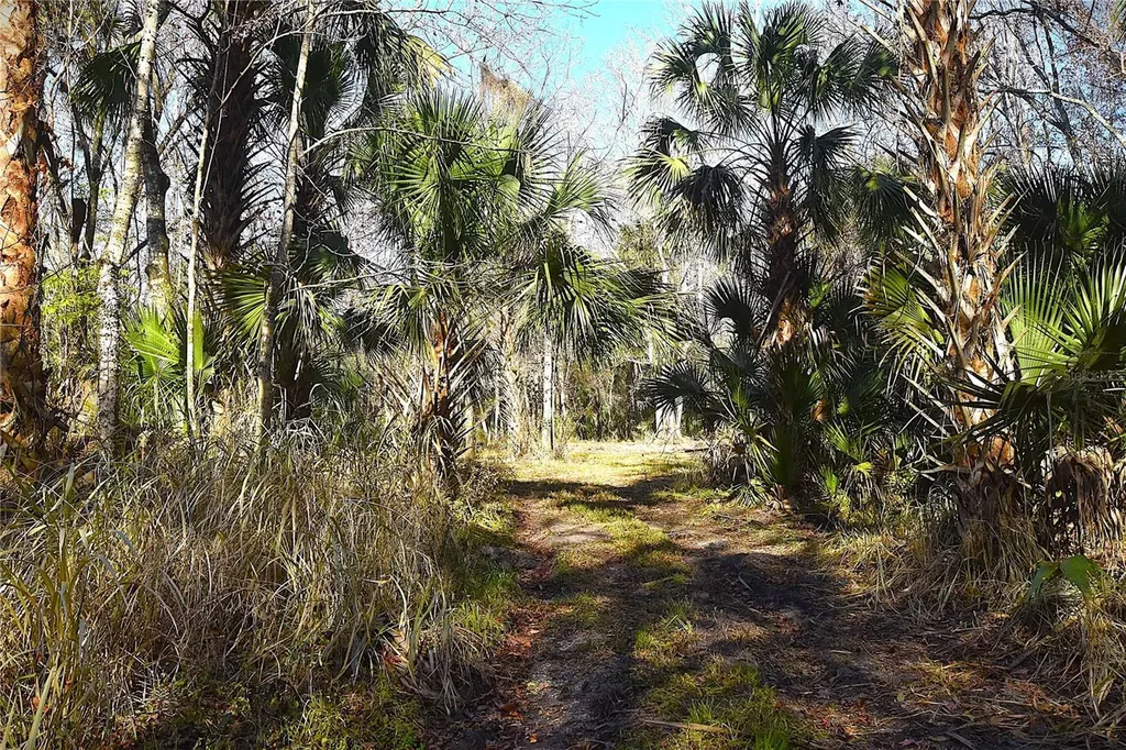 4721 Lingo Grove Road Edgewater FL 32141