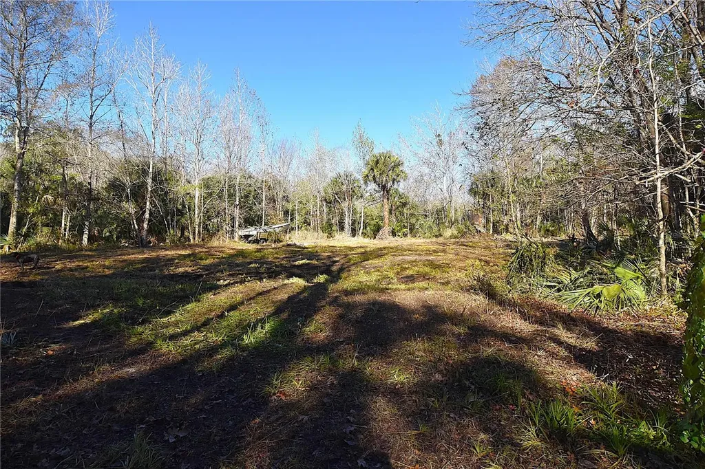 4721 Lingo Grove Road Edgewater FL 32141