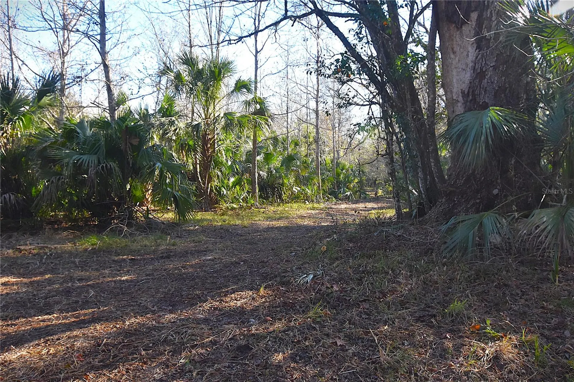 4721 Lingo Grove Road Edgewater FL 32141