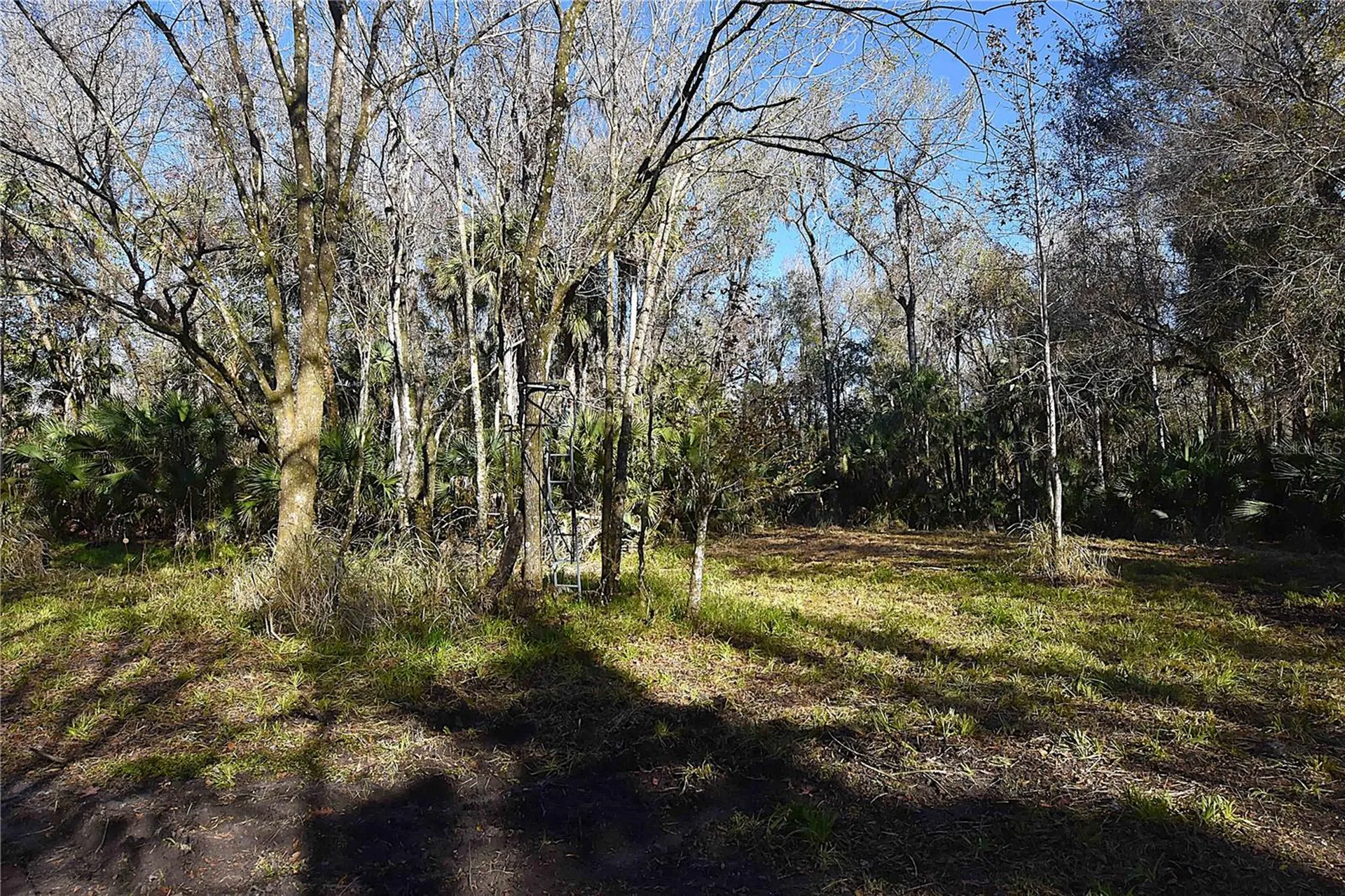 4721 Lingo Grove Road Edgewater FL 32141