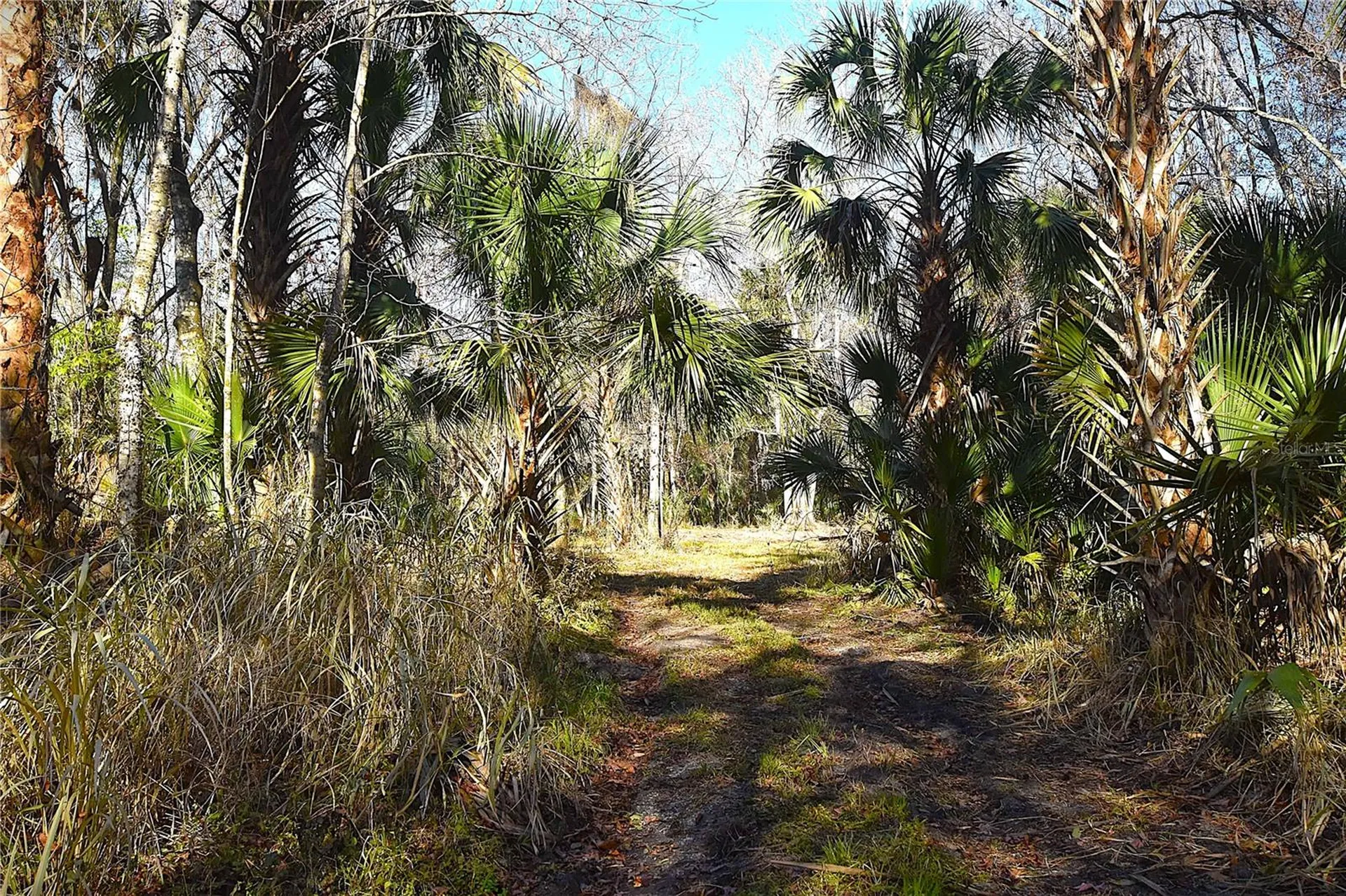 4721 Lingo Grove Road Edgewater FL 32141