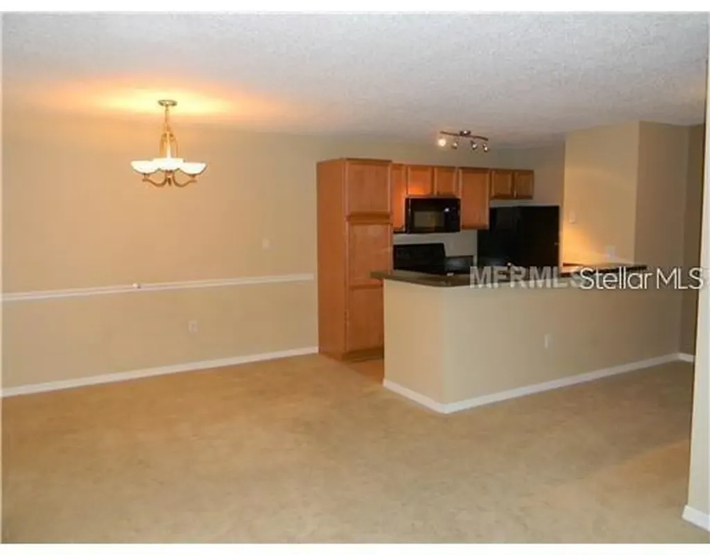 214 Lake Parsons Green Brandon FL 33511