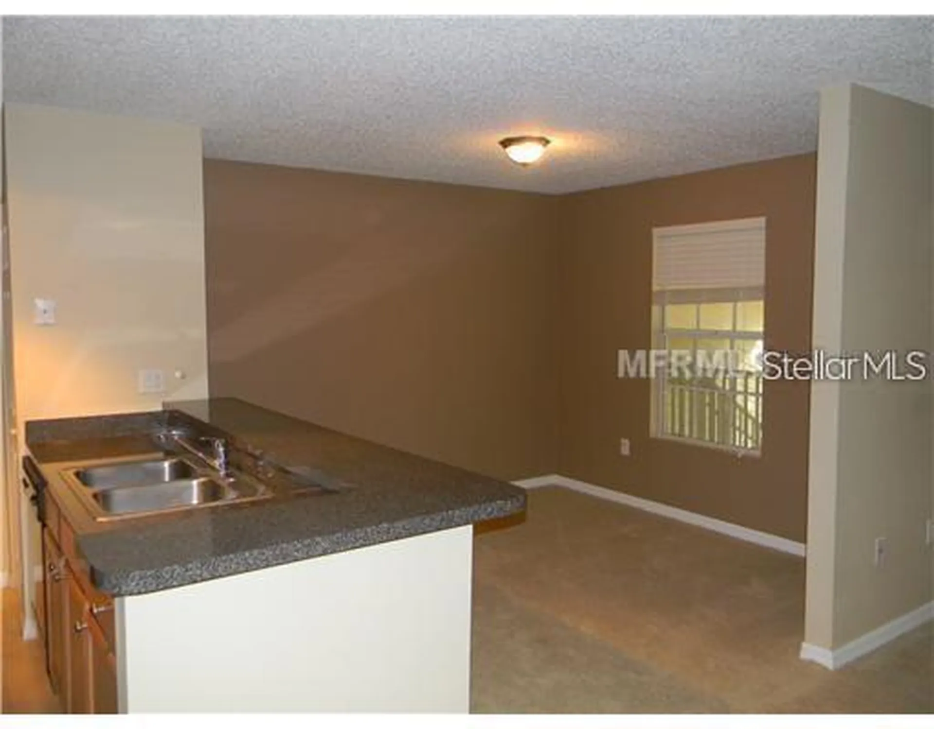 214 Lake Parsons Green Brandon FL 33511