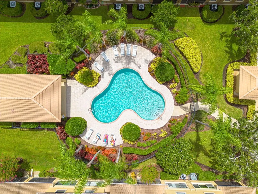 2567 Gloriosa Drive Palm Harbor FL 34684
