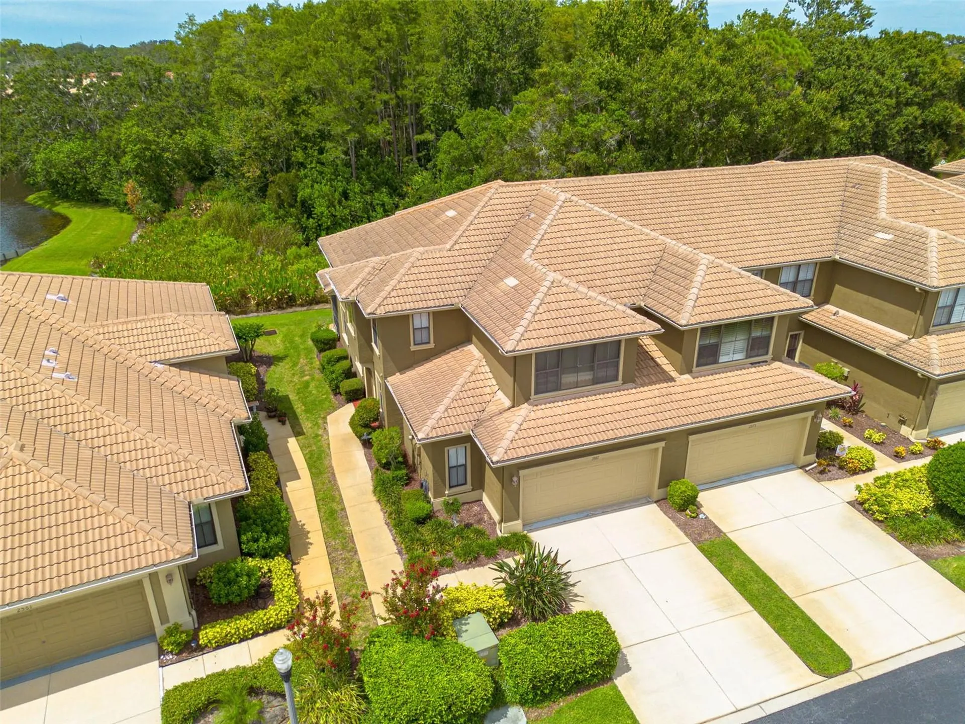 2567 Gloriosa Drive Palm Harbor FL 34684