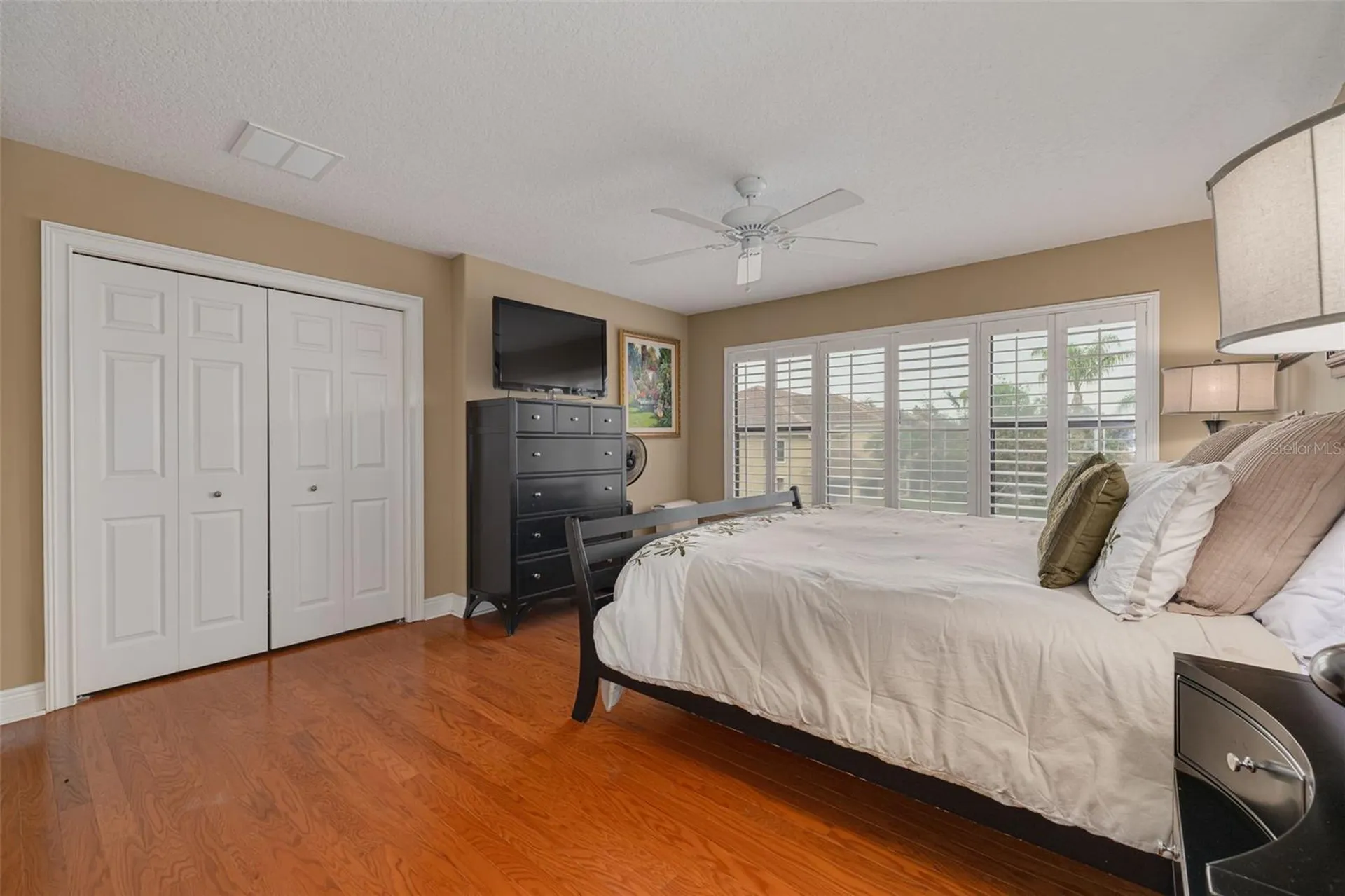 2567 Gloriosa Drive Palm Harbor FL 34684