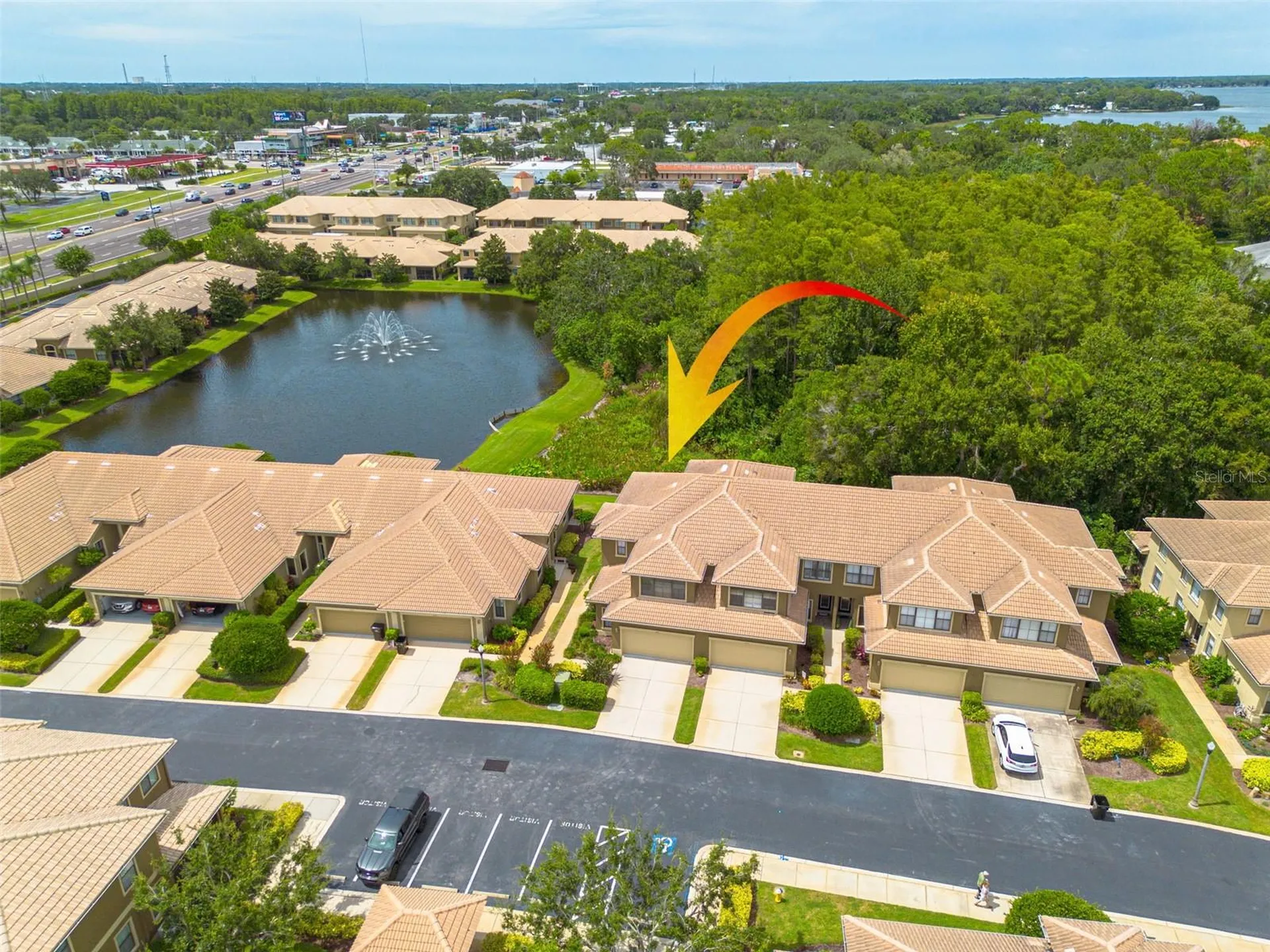2567 Gloriosa Drive Palm Harbor FL 34684