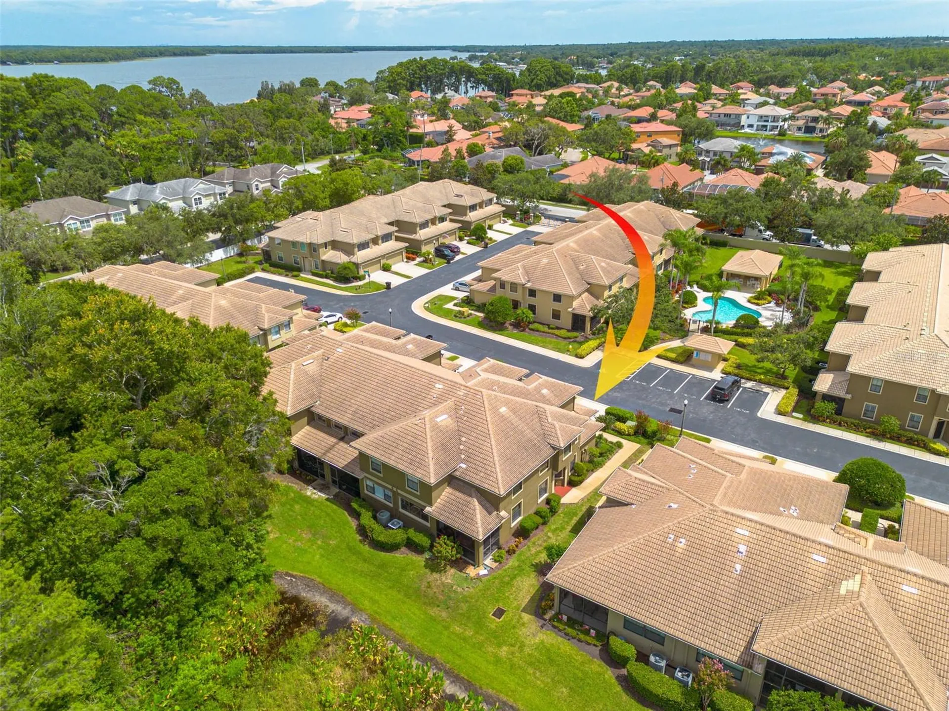 2567 Gloriosa Drive Palm Harbor FL 34684