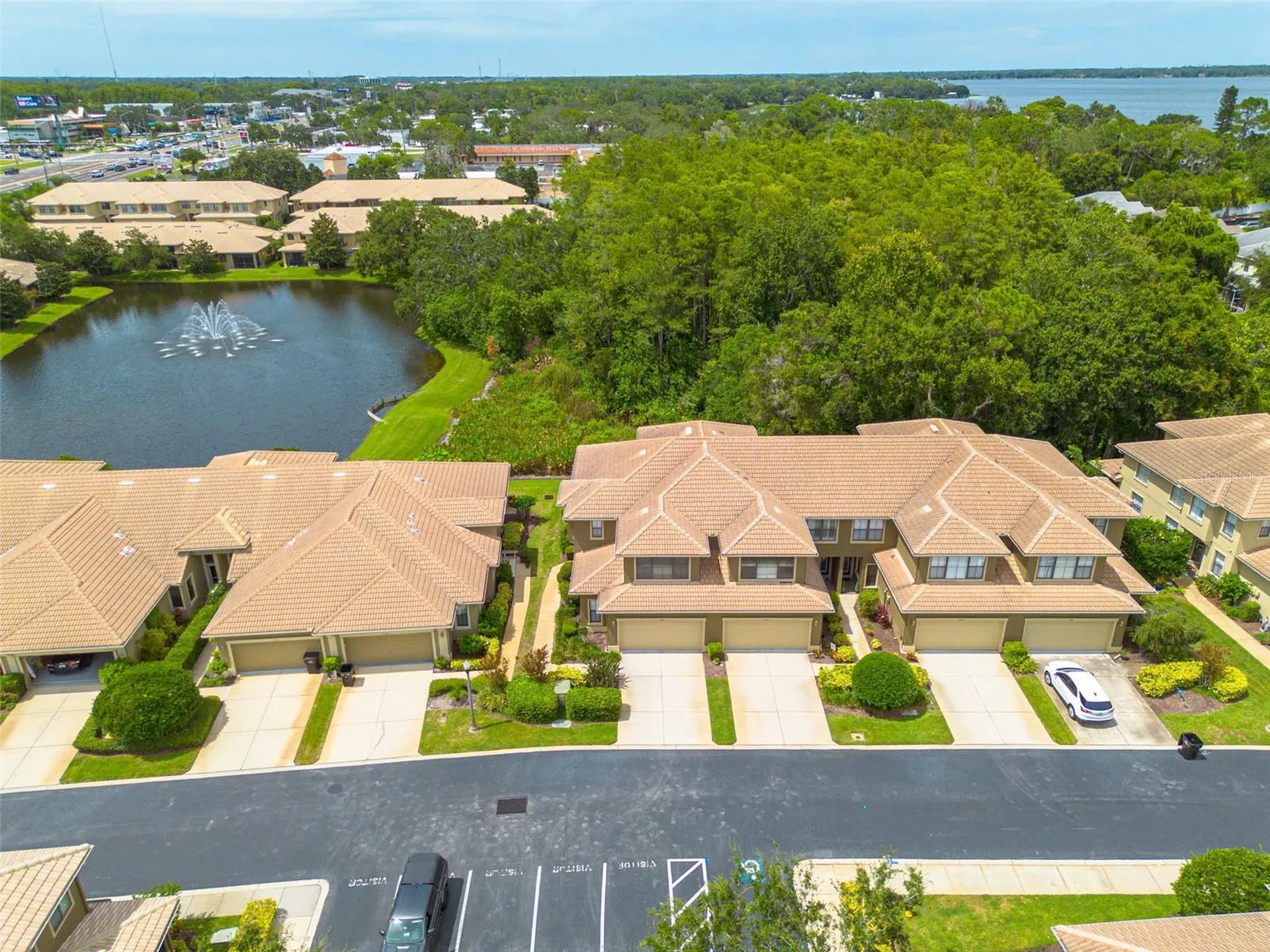 2567 Gloriosa Drive Palm Harbor FL 34684