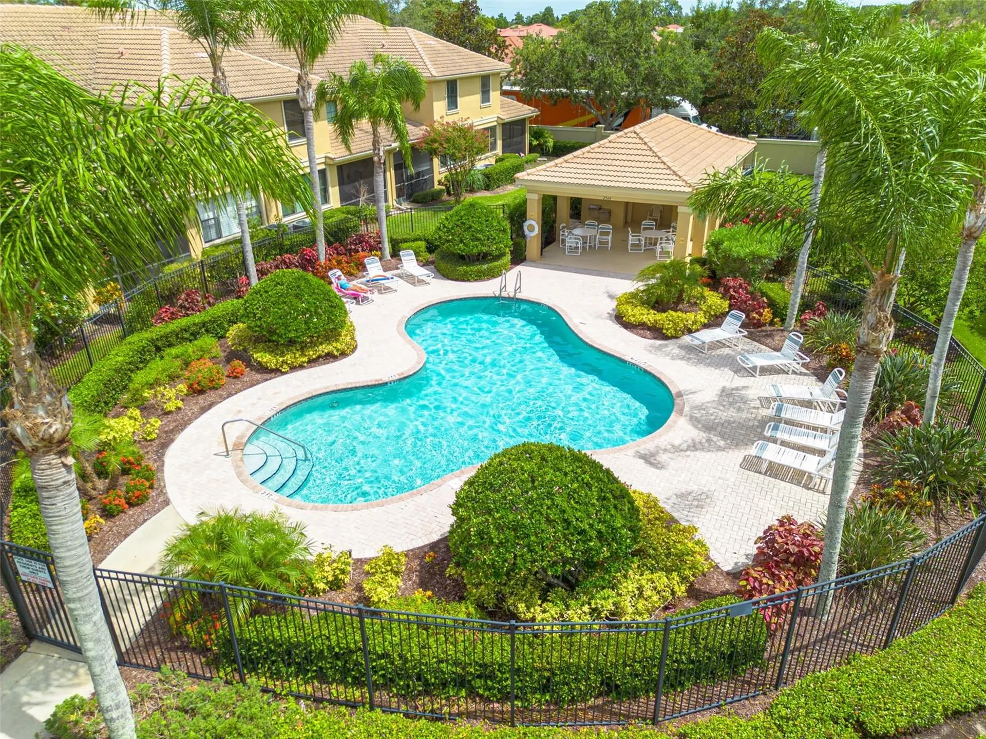 2567 Gloriosa Drive Palm Harbor FL 34684