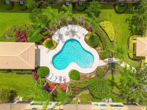 2567 Gloriosa Drive Palm Harbor FL 34684