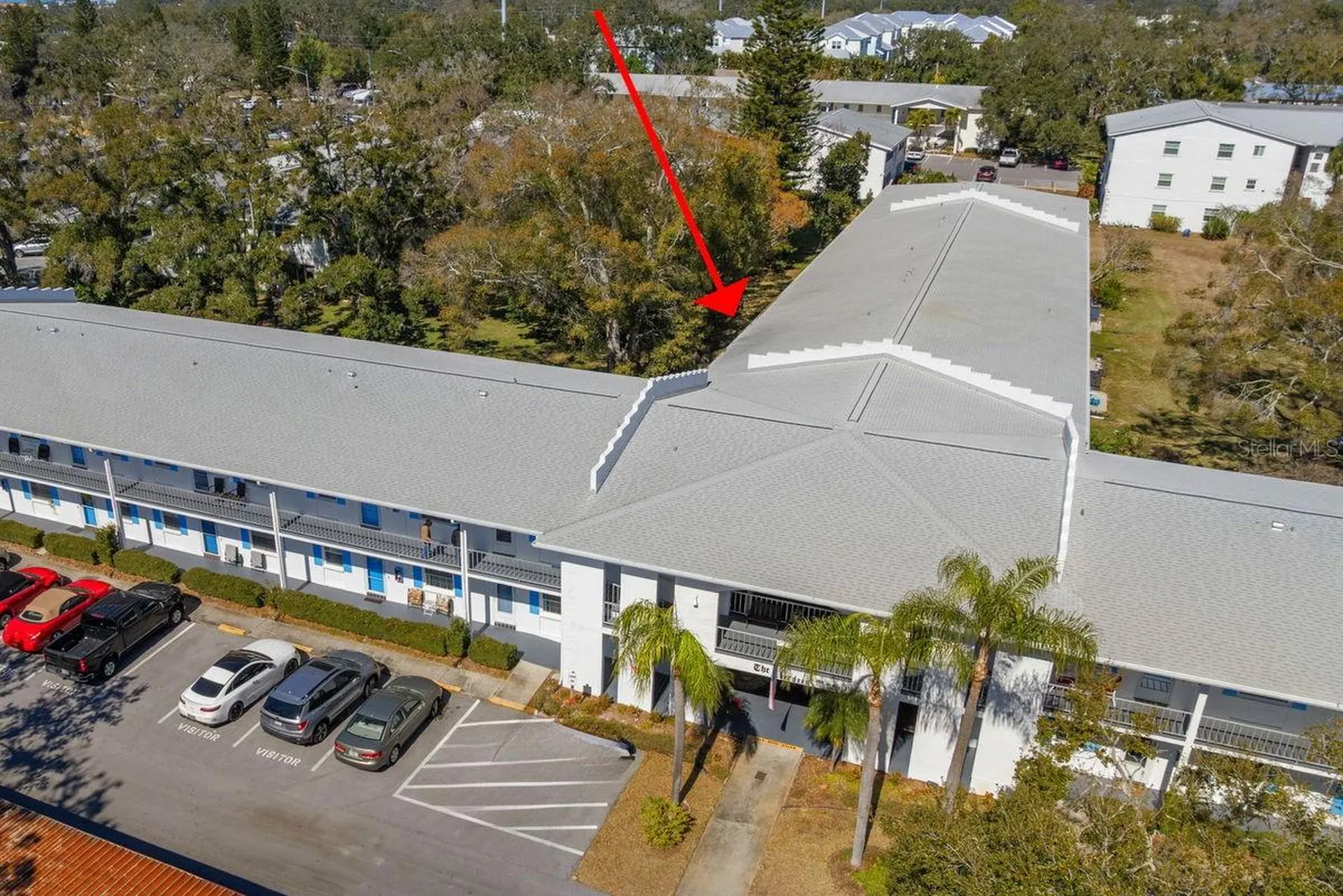 300 Clyde Lane Dunedin FL 34698