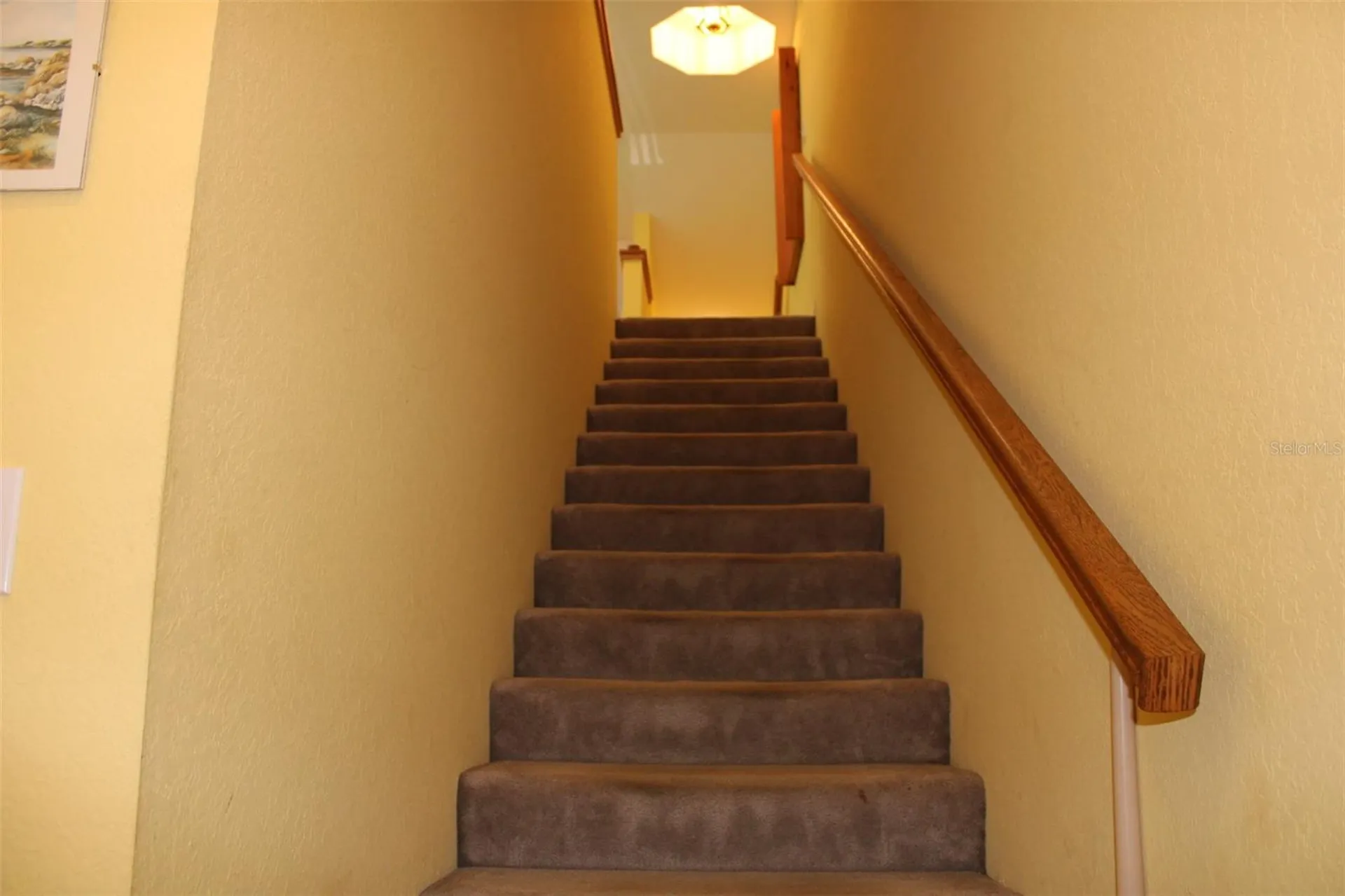 9722 Indian Key Trail Seminole FL 33776