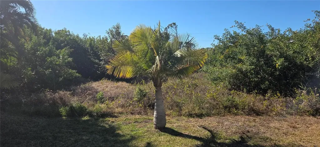 9597 Little Rock Street Port Charlotte FL 33981