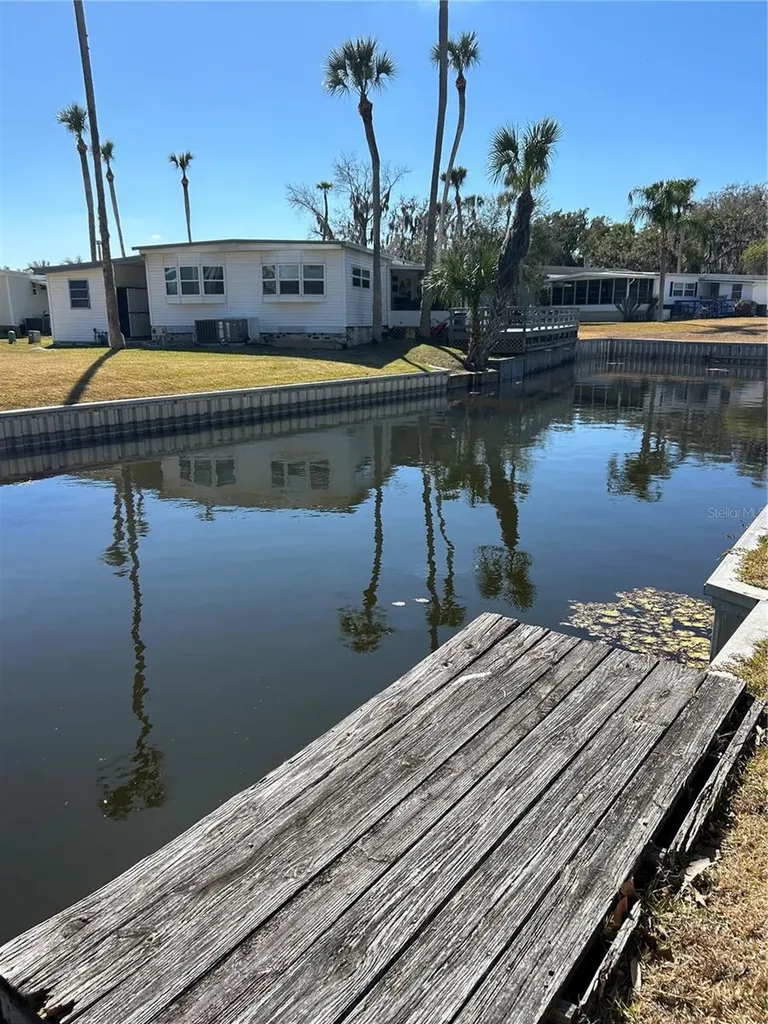 40 Sabal Palm Circle Eustis FL 32726