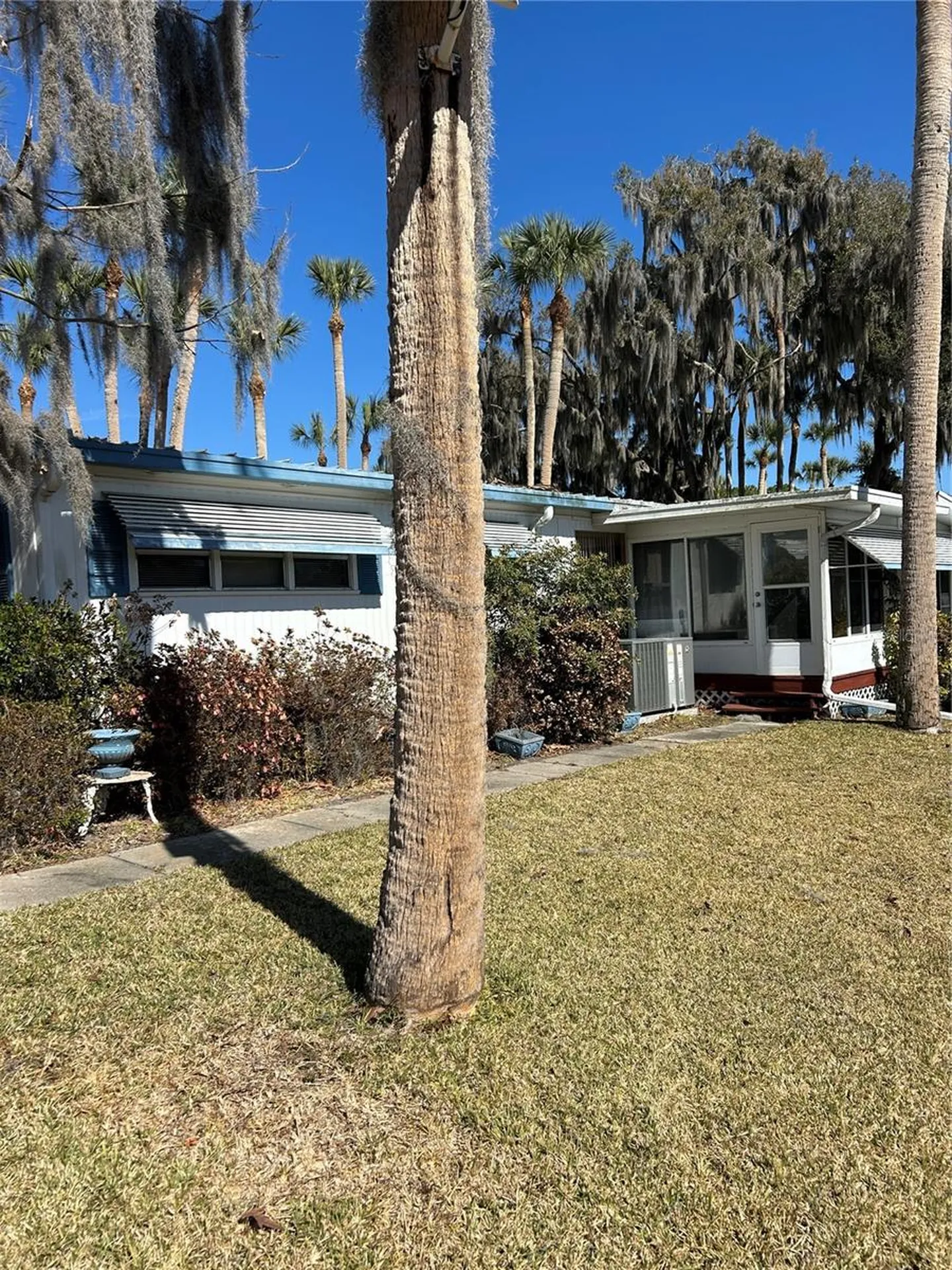 40 Sabal Palm Circle Eustis FL 32726