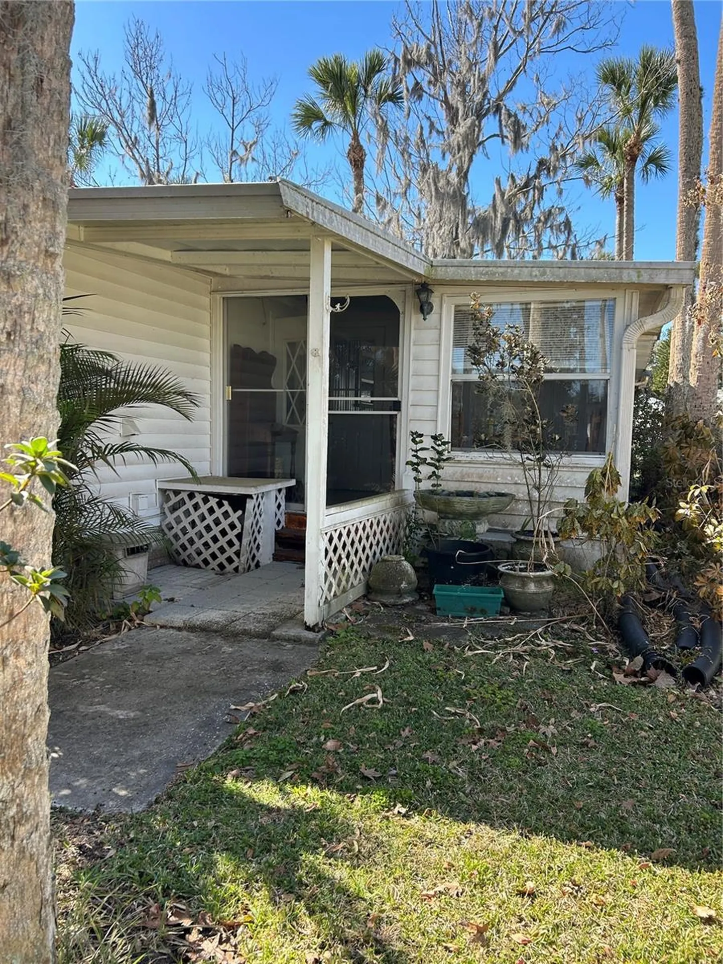 40 Sabal Palm Circle Eustis FL 32726