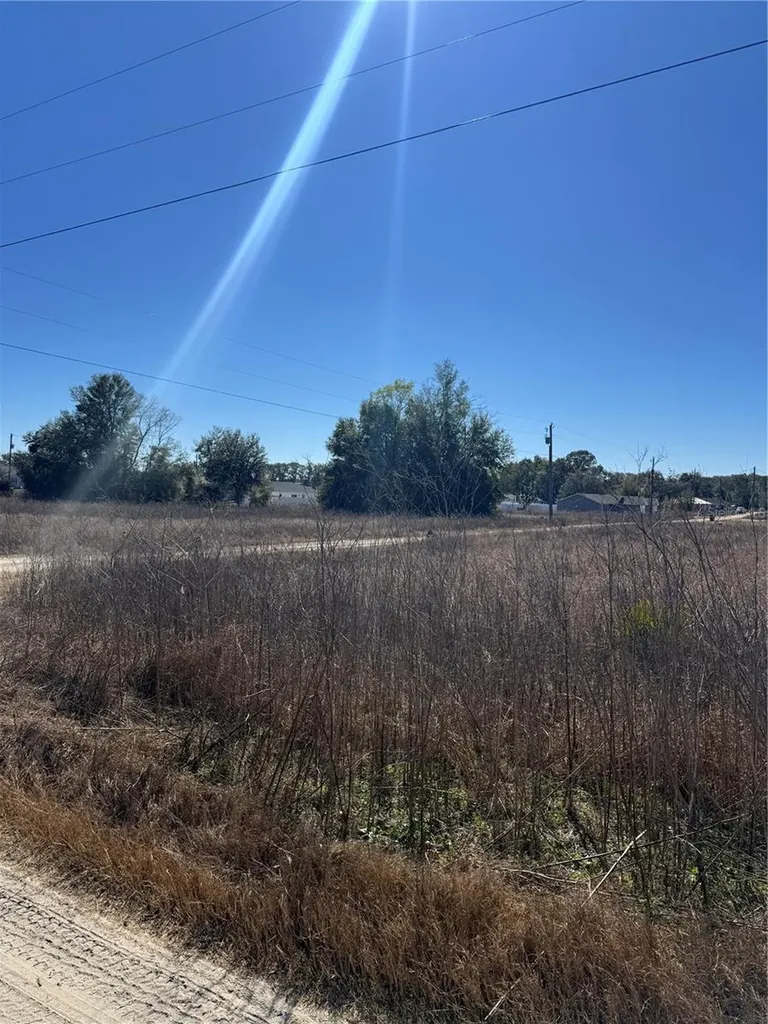 Tbd SW 150th Court Ocala FL 34482