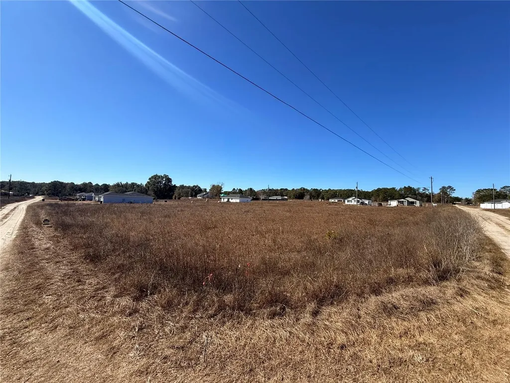 Tbd SW 150th Court Ocala FL 34482