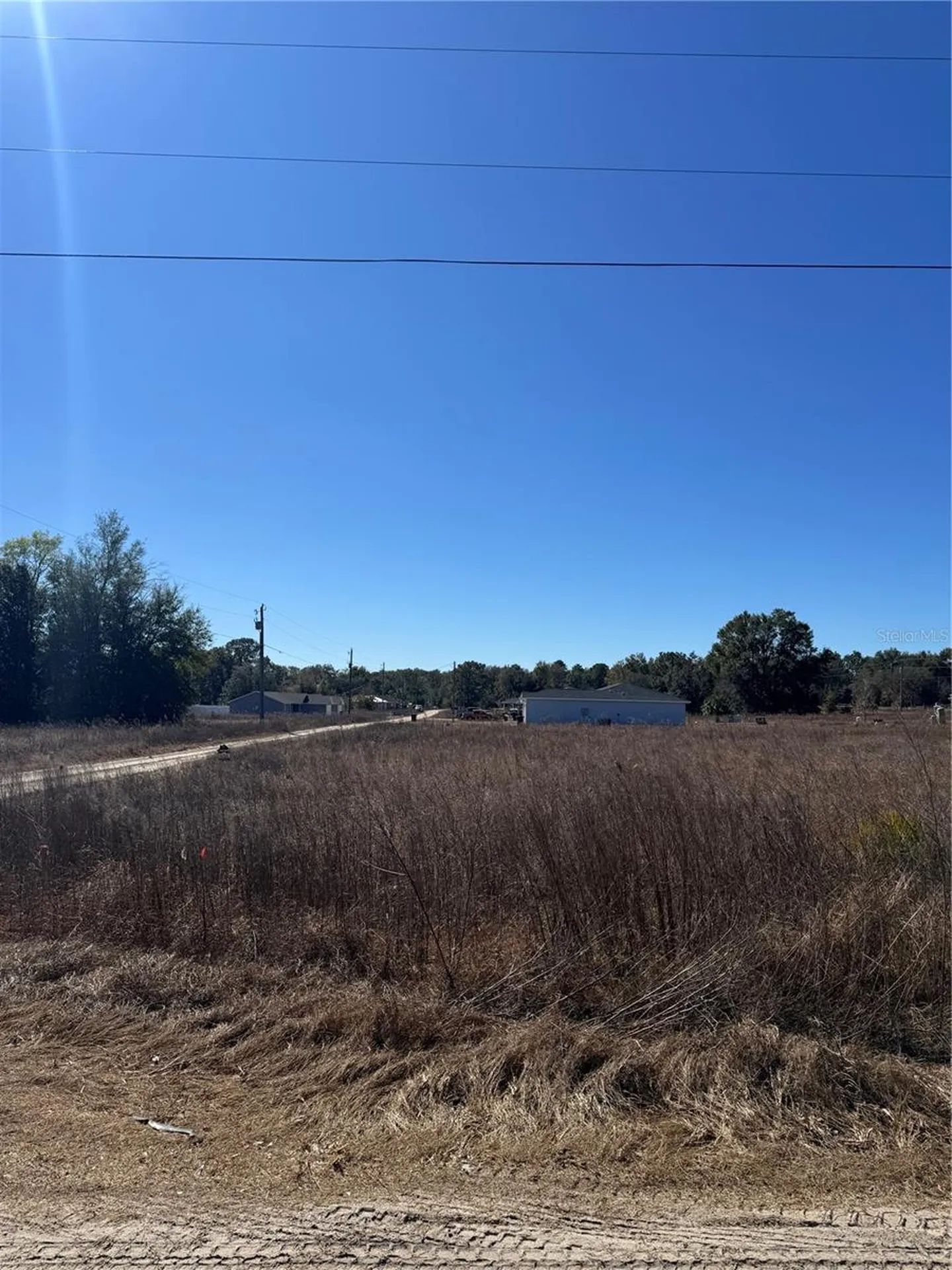 Tbd SW 150th Court Ocala FL 34482