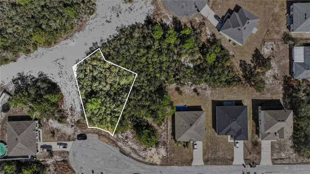 611 Amazon Court Poinciana FL 34759