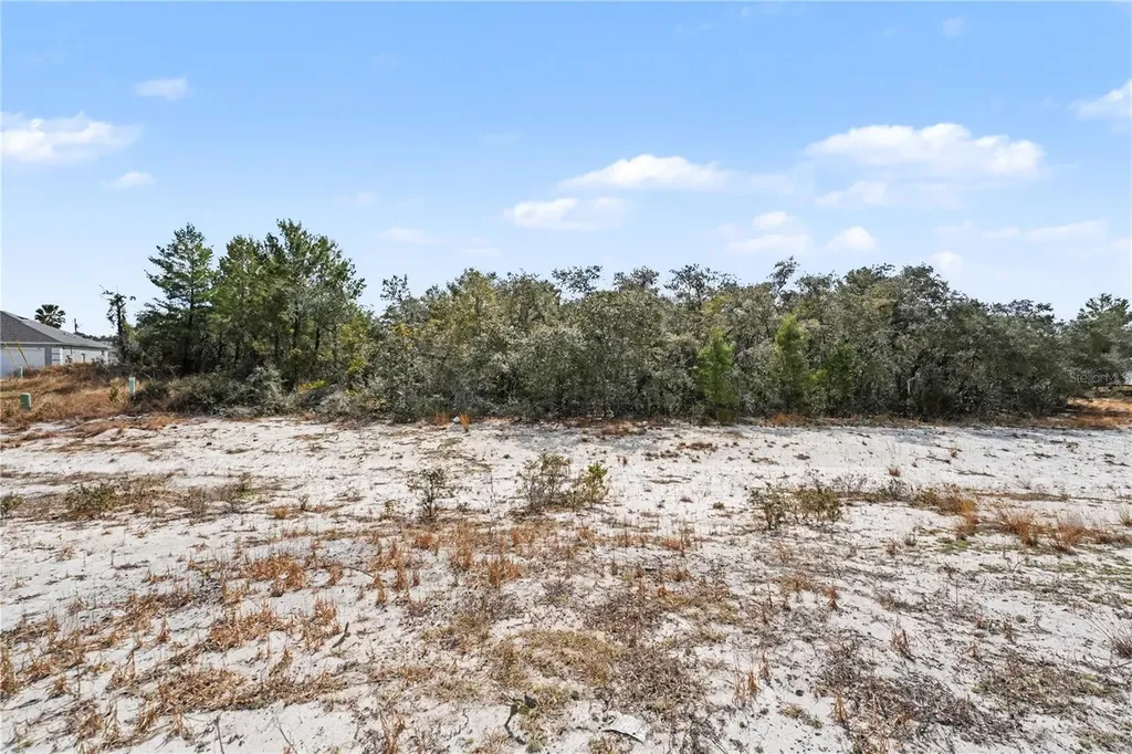 611 Amazon Court Poinciana FL 34759