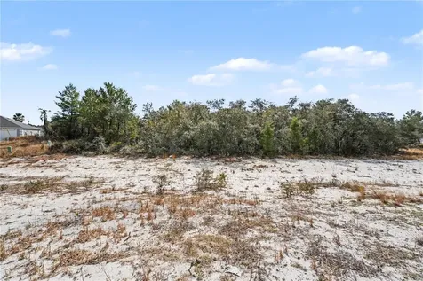 611 Amazon Court Poinciana FL 34759