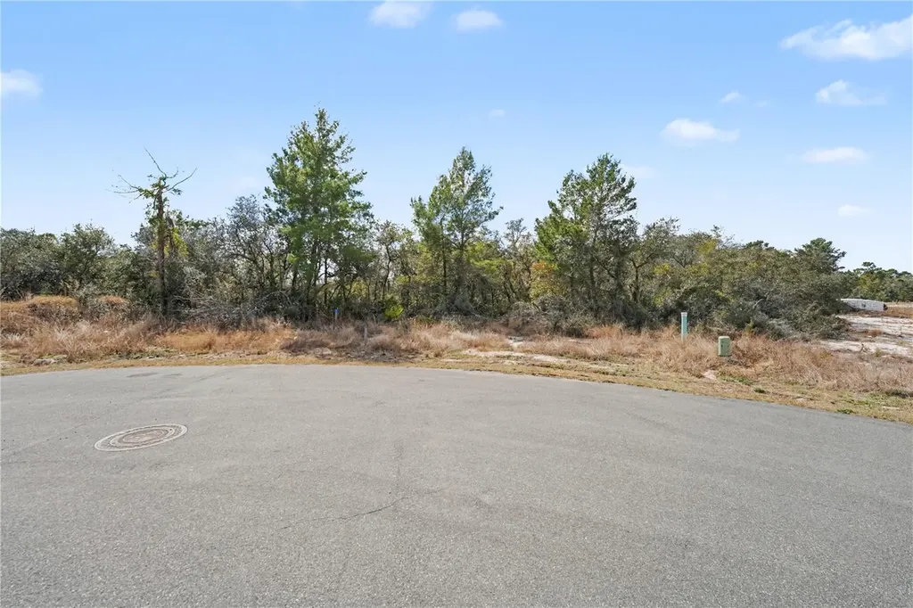 1204 Waverly Place Poinciana FL 34759