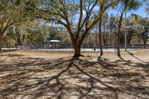 3826 N Briarberry Point Beverly Hills FL 34465