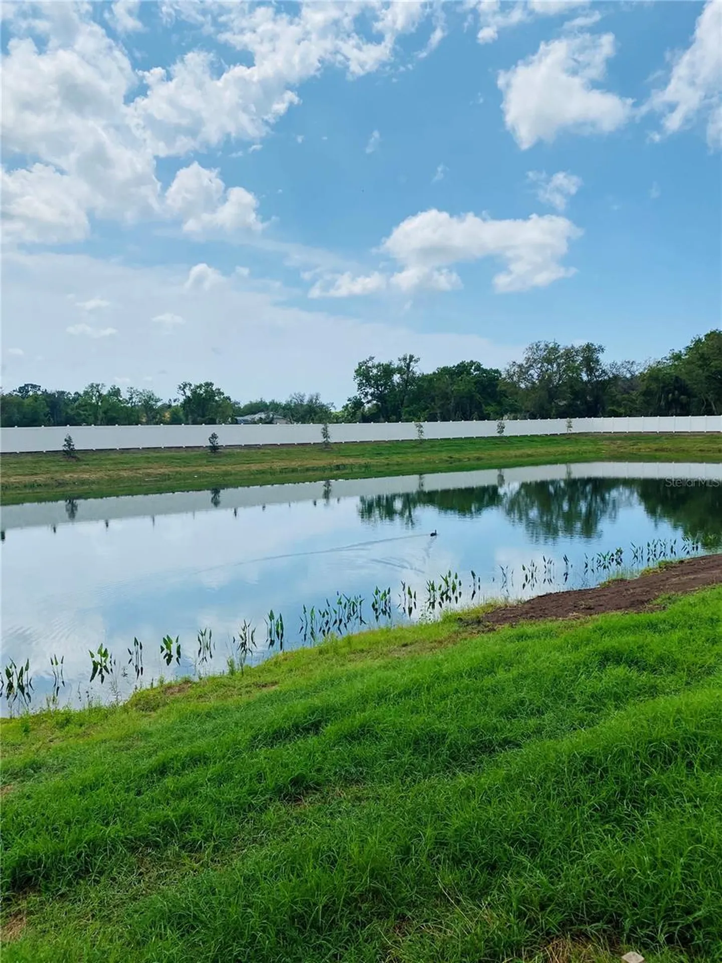 7253 Meadowshade Court Sarasota FL 34241