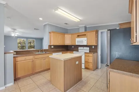 357 Walters Place Fruitland Park FL 34731