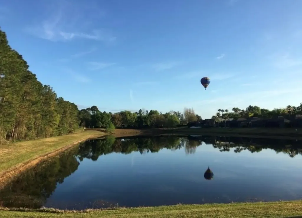 2901 Sunset Vista Court Kissimmee FL 34747