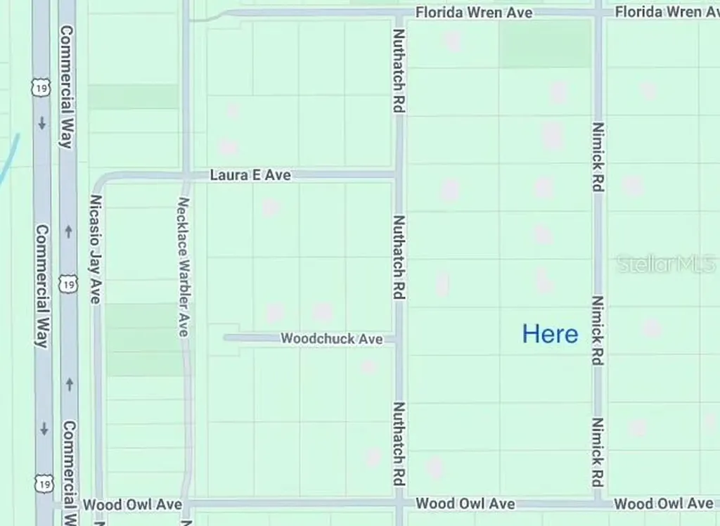 17467 Nimick Road Weeki Wachee FL 34614